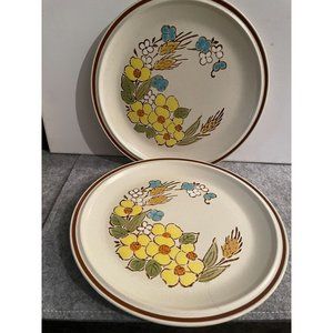 2 Hearthside Stoneware Floral Expressions Springtime Design Dinner Plates  # 119